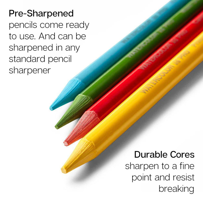 Woodless Watercolor Pencils 24 Colors - Pro - KINGART