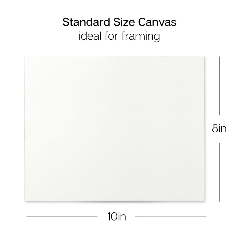8 PC. 8" x 10" STRETCHED CANVAS VALUE PACK - STRETCHED CANVAS & PANEL BOARDS - KINGART