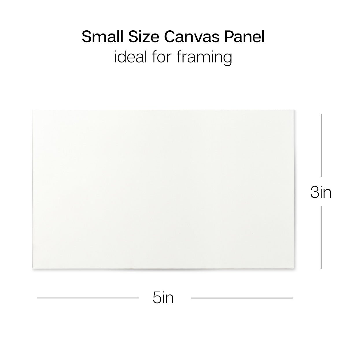 Canvas Panel – 3