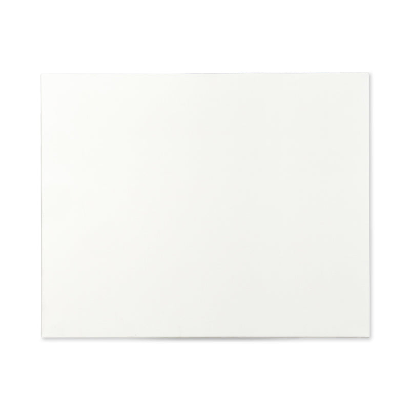 Canvas Panels 8x10 14 pc - STRETCHED CANVAS & PANEL BOARDS - KINGART